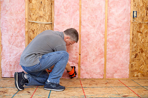 Best Energy Efficiency Insulation in Willards, MD